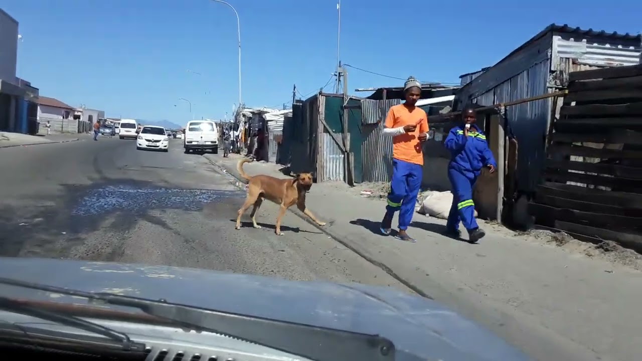 LIFE OF THE POOREST OF THE POOR 😄. INSANE  ( INSIDE PHILIPPI ) 🌶🍎 CAPE TOWN SOUTH AFRICA