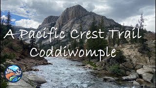 A Pacific Crest Trail Coddiwomple Documentary