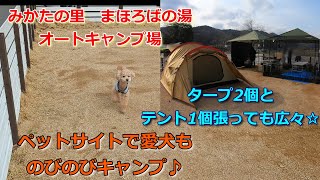 愛犬とキャンプ☆みかたの里　まほろばの湯オートキャンプ場♪