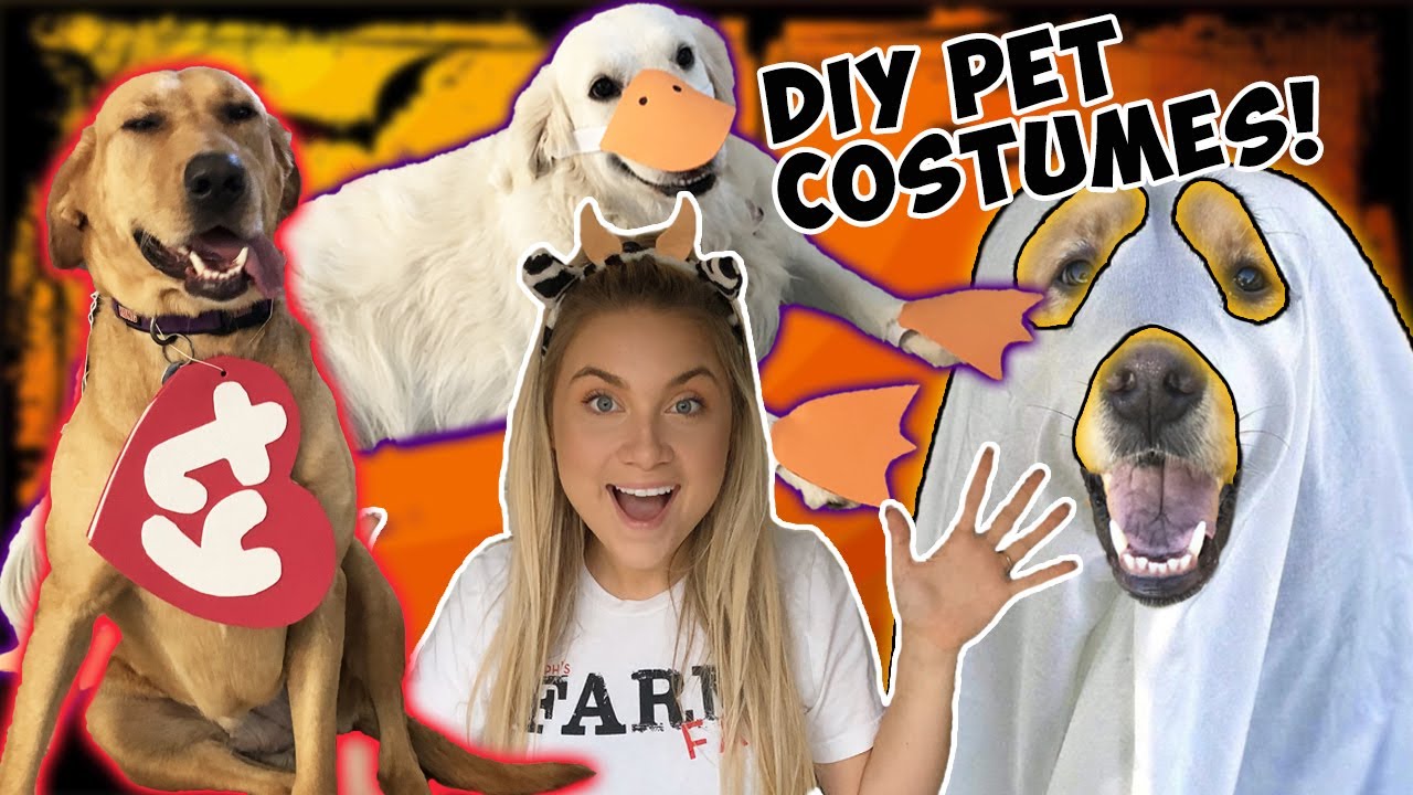 ghost dog costume diy