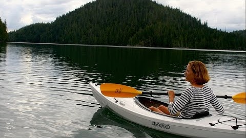 A guide on sailing from an empty nest into life