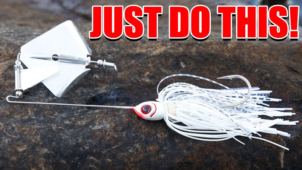 It's Actually Pretty Easy to Catch Bass in the Fall