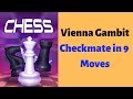 Chess : Checkmate in 9 Moves - Vienna Gambit