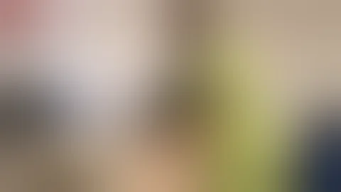 Best of Liveleak - June 2017 part 2