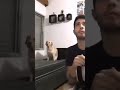 Memes parte #83 La vaca polaca referencia??