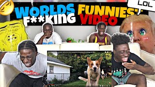 WORLDS FUNNIEST EFFING VIDEO #ANIMAL FAILS COMPILATION REACTION!