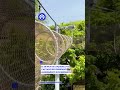 Lucian, el lémur más feliz: brinca por todo el zoológico
