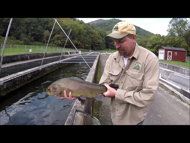 Raising Trout in Virginia - Episode 1 