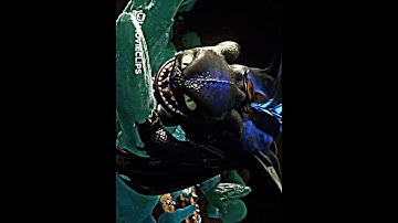 Evil Toothless vs. Alpha #httyd #howtotrainyourdragon  #httydedit #movieedits #120fps #4kedit