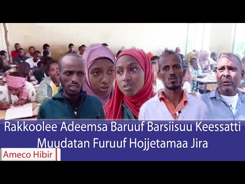 AMECO HIBIR Rakkoolee Adeemsa Baruuf Barsiisuu Keessatti Muudatan Furuuf Hojjetamaa Jira 21 02 2018