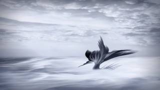 Tides (Original Composition) @lunarblack6629