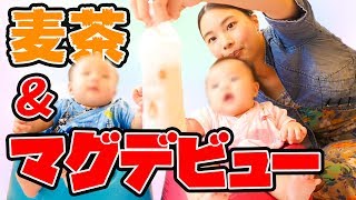 【男女双子】初めての麦茶とコップマグで水分補給！【もうすぐ生後6ヶ月】Mixed twins challenge first time barley tea and mug