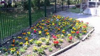 Dots Home Tour Of Litherland