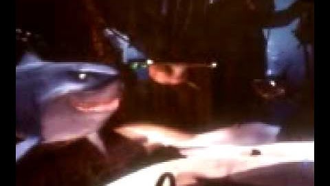 playing finding nemo on the pc part 5