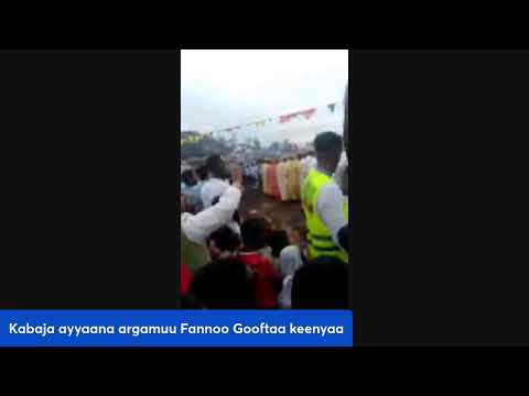 Kabaja Argamuu Fannoo Gooftaa Keenyaa Nagaan Geessan