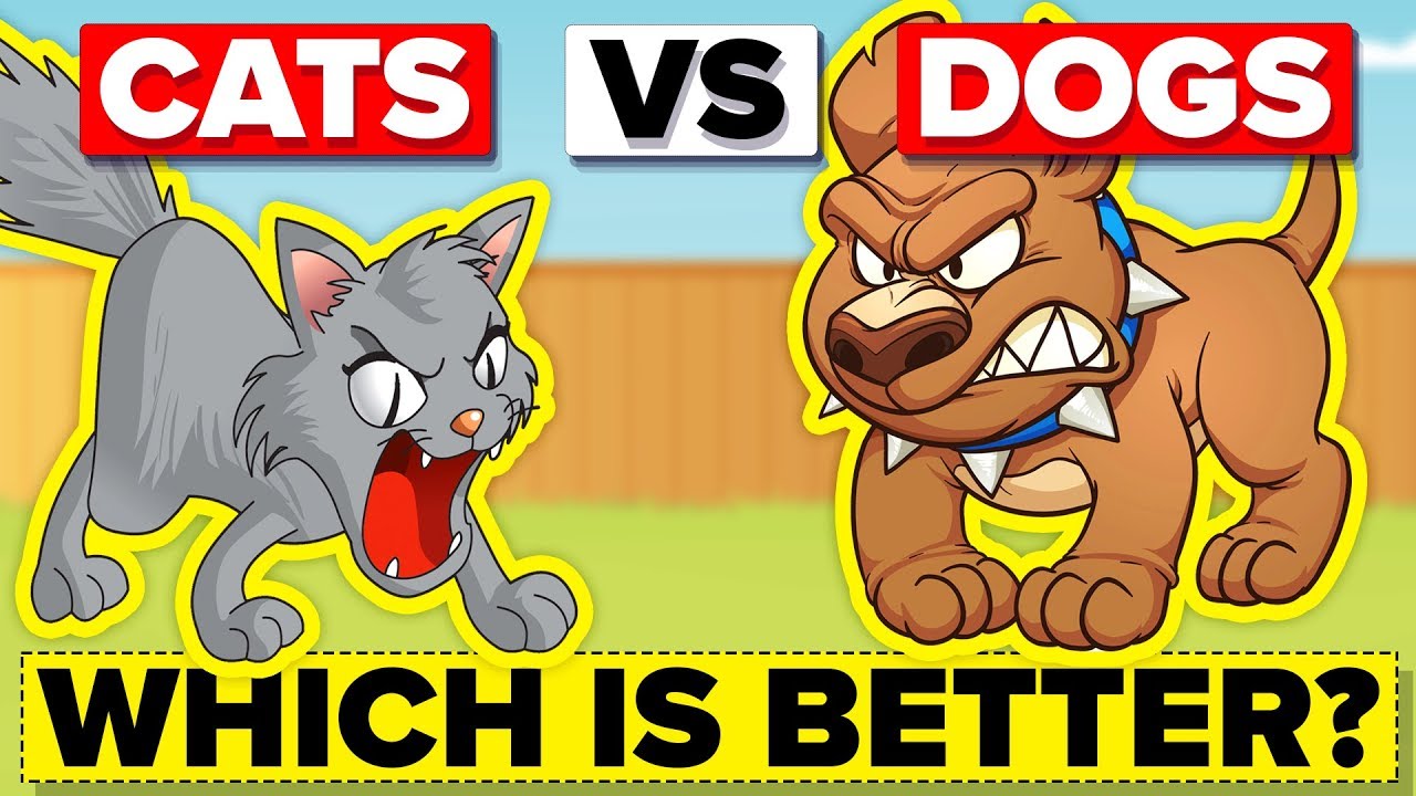 Are Dogs Faster Than Cats?