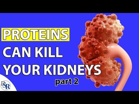 My Personal Story With Kidney Damage And A High Protein Diet - part 2