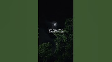 وَمَا يَنْبَغِي لِلرَّحْمَن أَن يَتَّخِذَ وَلَدًا | عبد الرحمن مسعد | سورة مريم