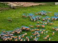 Professional Data Annotation Services for Drone Videos | Wisepl | Data Labeling Services | ML