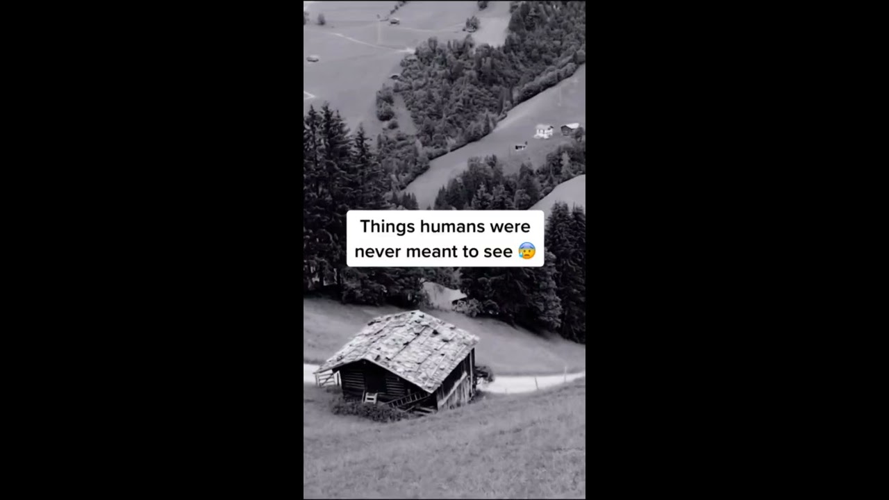 Things Humans Were Never Meant To See