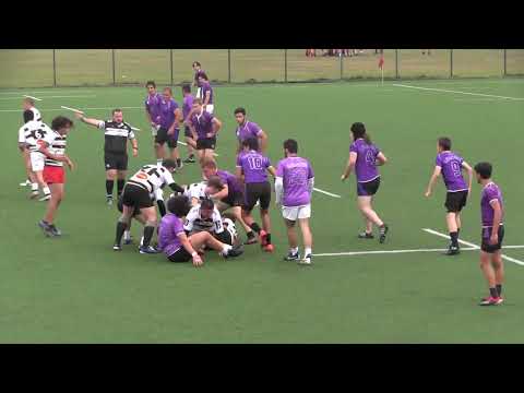 აია(1) 3-26 ხვამლი (1)