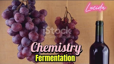 22 SEP A - “Why Do Grapes Turn Into Wine? The Chemistry of Fermentation”