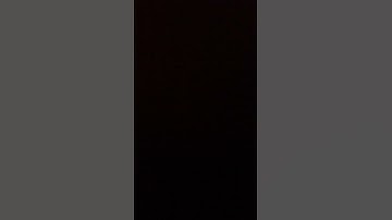 تعليم الطيور سورة الكوثر