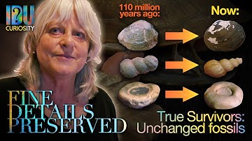 True Survivors: Lightning Ridge