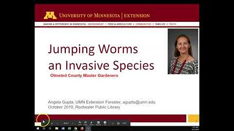 Jumping Worms in Minnesota with Angela Gupta
