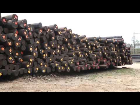 How Trees Become Utility Poles