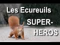 Les cureuils superhros  parole dcureuil