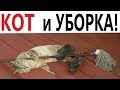 Лютые приколы. КОТ И УБОРКА!!! Самое смешное видео! Попробуй не ЗАСМЕЯТЬСЯ – Domi Show