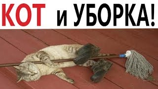 Лютые приколы. КОТ И УБОРКА!!! Самое смешное видео! Попробуй не ЗАСМЕЯТЬСЯ - Domi Show