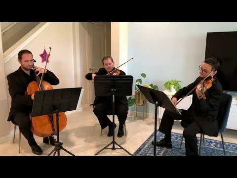 Sunset Strings' string trio performs I Will Follow You Into the Dark