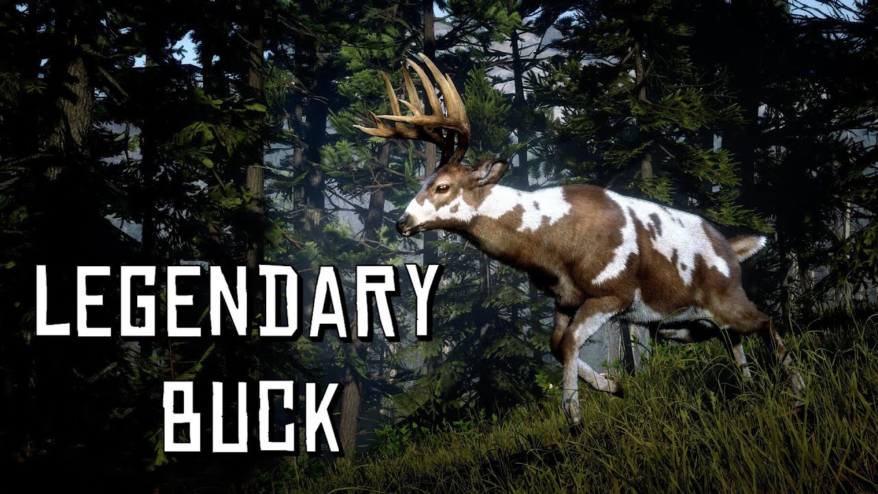 Legendary Bck Rdr2 Rdr2 Legendary Buck Hunting _ Red Dead Redemption 2 – KKWR