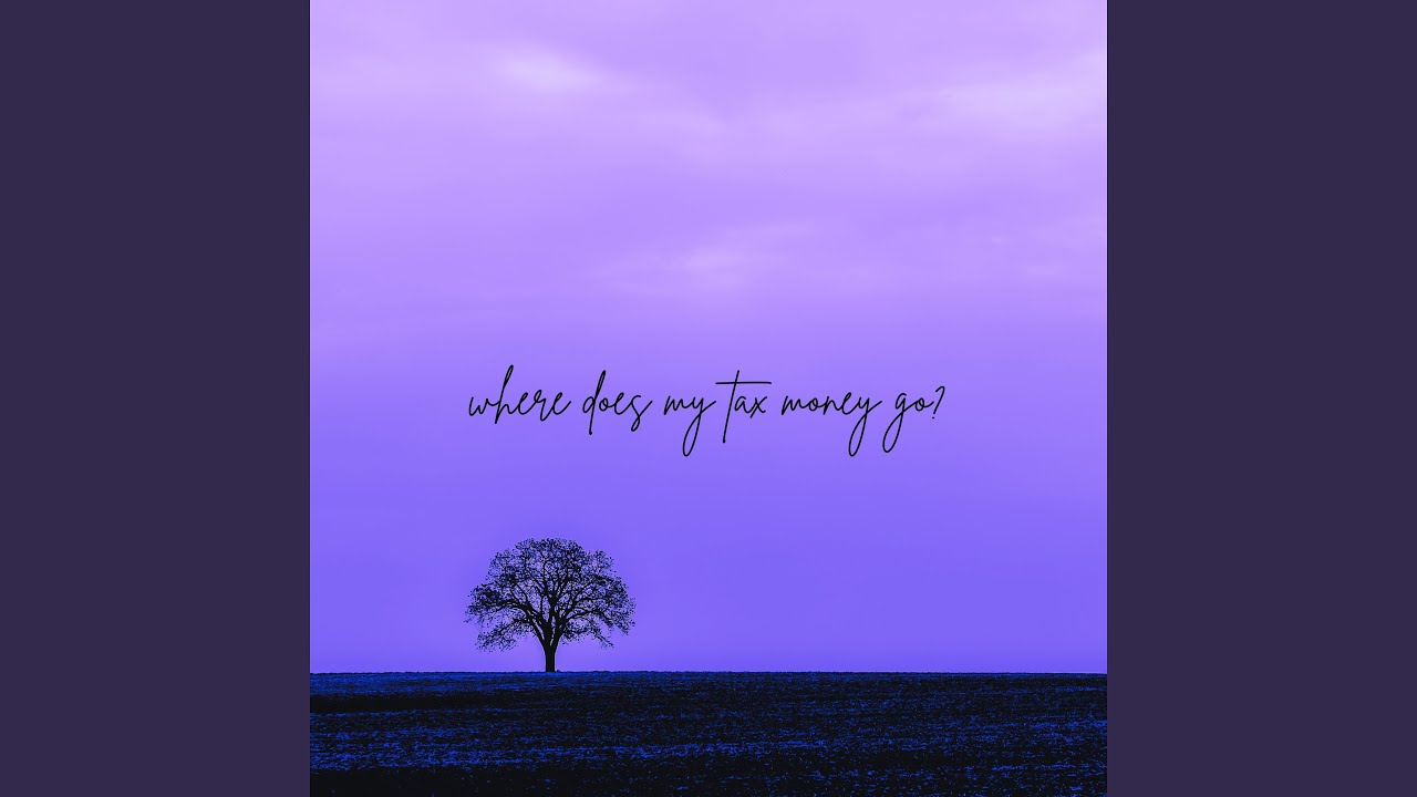 where does my tax money go?