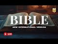 Holy Bible NIV – A Journey Through God’s Love and Wisdom 🔴 BibleVision LIVE