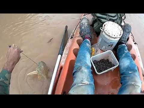 Vídeo: Desconnecteu Perns I Altres Trucs De Pesca