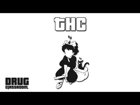 EP29 THC