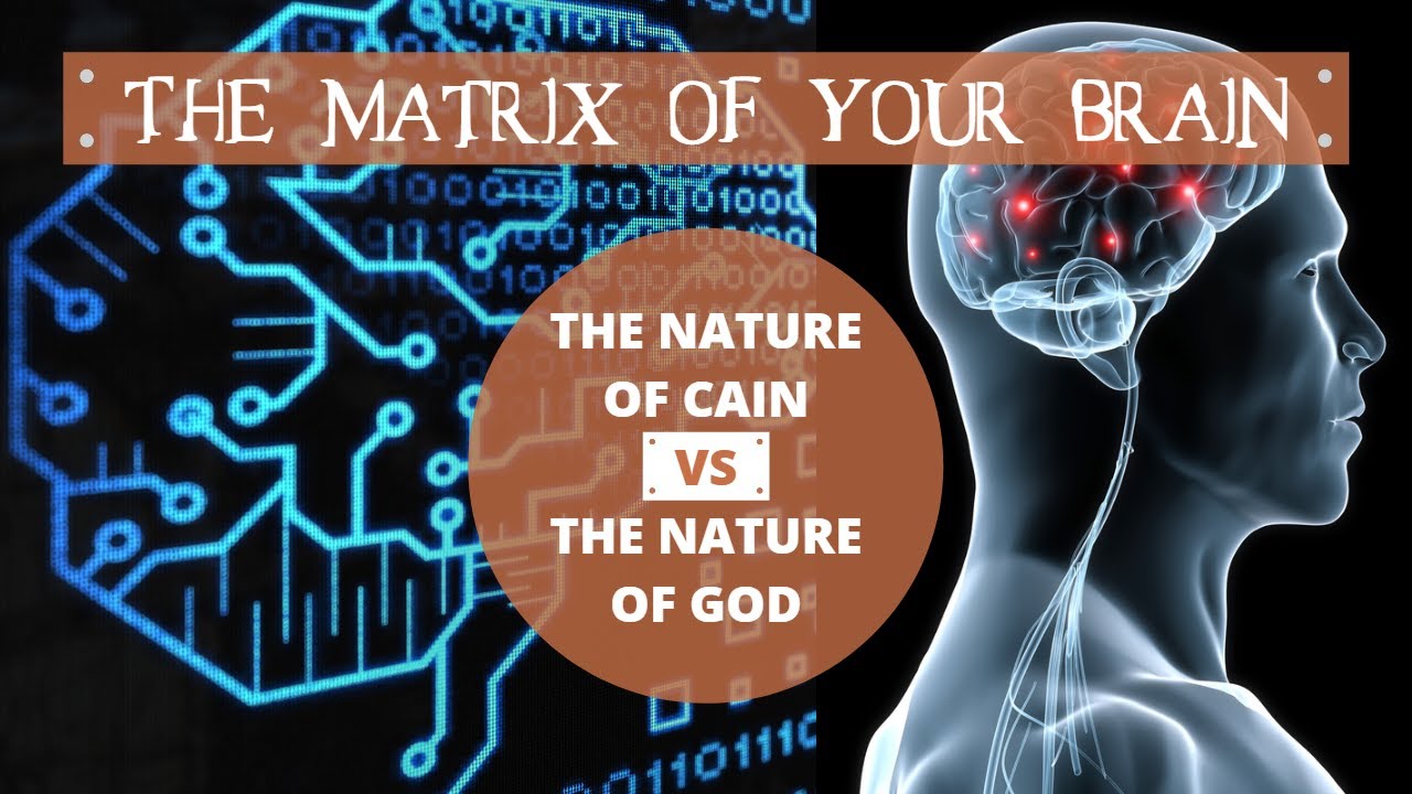 Falsely Accused - Reptilian Brain and Neocortex, The Matrix, The Carnal Nature and the Nature of God