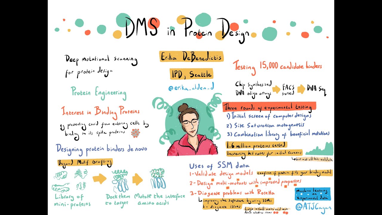 Dr. Erika DeBenedictis  (Mutational Scanning Symposium 2021)