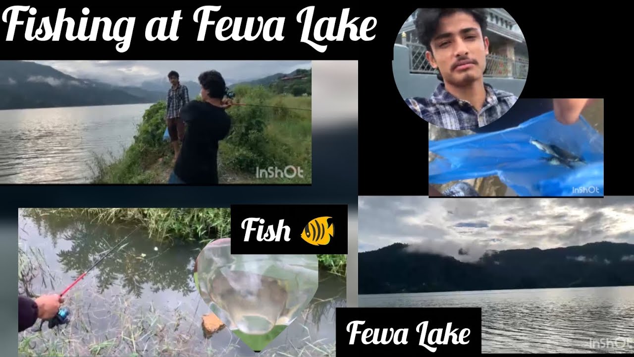 FISHING AT FEWA LAKE 🐠😃||POKHARA FEWA LAKE FISH WAS AMAZING 🐠||