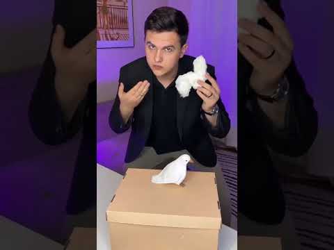the magic for you #magic5 #trending
