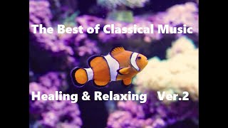 The Best of Classical Music 2탄 / 감미로운 클래식 명곡모음 / Relaxing & Healing Classical Music / 수족관 배경의 환상적인 곡 by 탱이톨이 (Tang2 & Tol2) 65 views 6 months ago 40 minutes