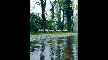 قل ربي إما // فهد واصل المطيري - آيات من كتاب الله