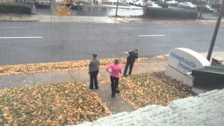 Stop The Pigeon