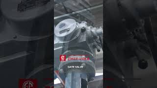 Z941ygate Valvespv china valve