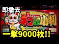 【ネコde小判】開始1Gから攻略法で1/819000直撃!?一撃9000枚フラグ搭載の幻の4号機
