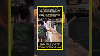 Dolphin Tosses Ball Back Perfectly You Learned Catch, The Dolphin Invented It