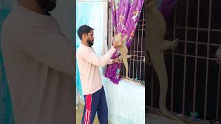 parda na uthao. 😂😂